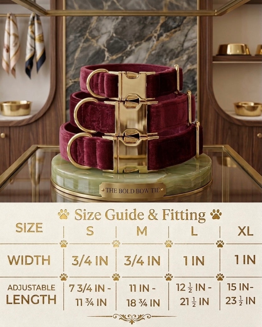 Velvet dog collars with gold buckle hardware arranged above a sizing chart. The chart details four sizes: Small has a width of 3/4 inch and an adjustable length of 7 3/4 to 11 3/4 inches. Medium has a width of 3/4 inch and an adjustable length of 11 to 18 3/4 inches. Large has a width of 1 inch and an adjustable length of 12 1/2 to 21 1/2 inches. Extra Large has a width of 1 inch and an adjustable length of 15 to 23 1/2 inches