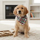 Holly Jolly Christmas Plaid Dog Bandana