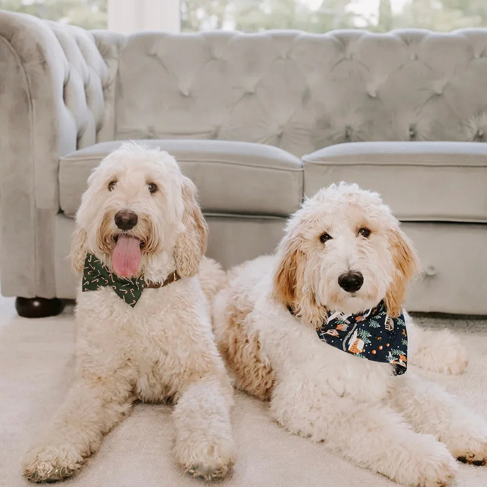 Fluffy tan dog wearing a handmade Stud Muffin dog bandana from The Bold Bow Tie, with product features including handmade design, comfortable collar slide-on fit, high-quality fabric, and sizes for all breeds.