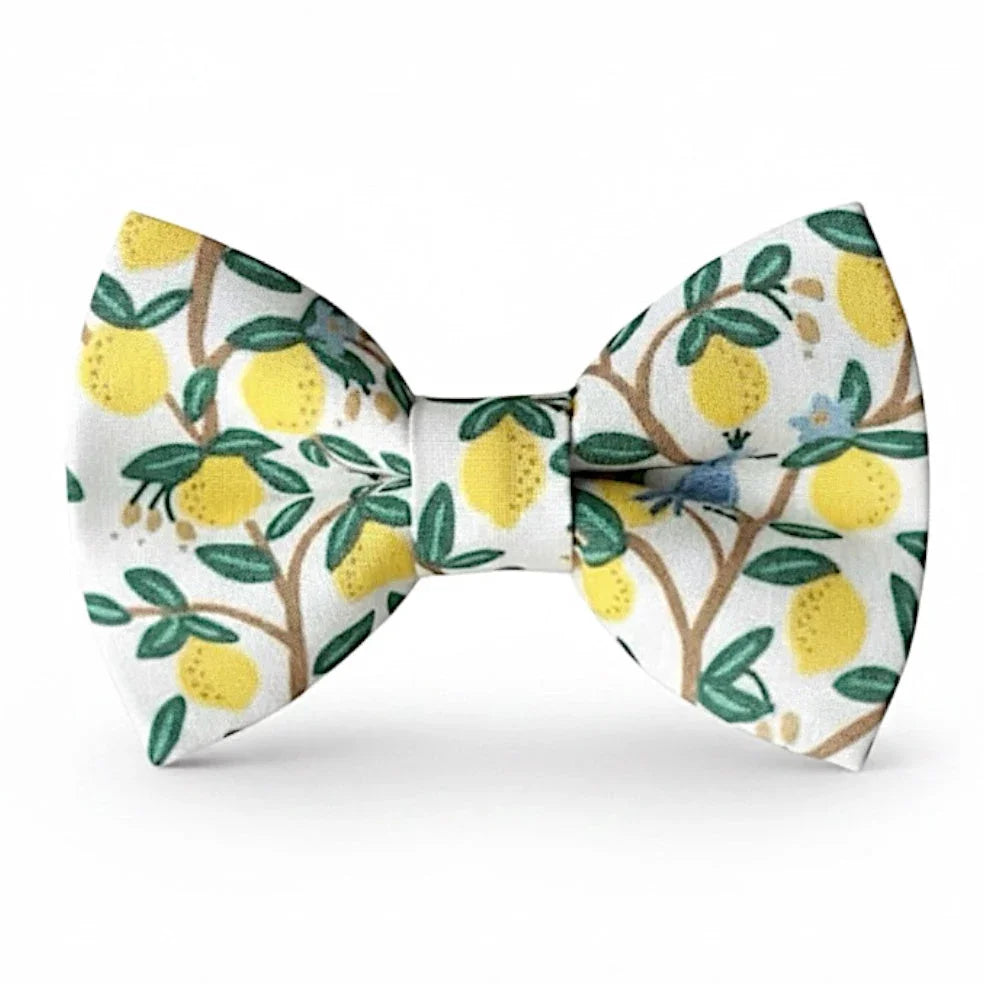 Handcrafted ivory pre-tied bow tie with yellow lemon citrus print made in the USA by a family-owned business for summer weddings and groomsmen.