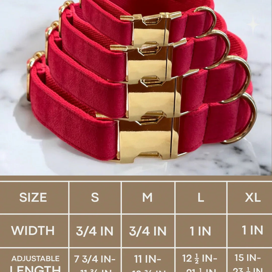 Velvet dog collars with gold buckle hardware arranged above a sizing chart. The chart details four sizes: Small has a width of 3/4 inch and an adjustable length of 7 3/4 to 11 3/4 inches. Medium has a width of 3/4 inch and an adjustable length of 11 to 18 3/4 inches. Large has a width of 1 inch and an adjustable length of 12 1/2 to 21 1/2 inches. Extra Large has a width of 1 inch and an adjustable length of 15 to 23 1/2 inches