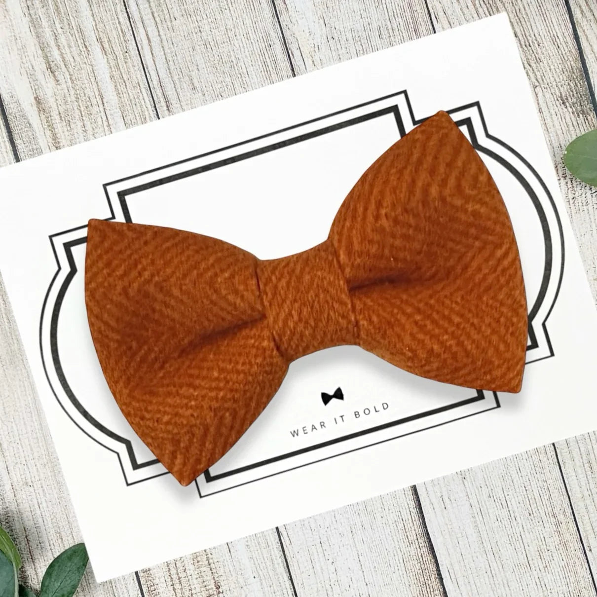 Orange Dog bow tie or Cat bow tie for pet bowtie collar.
