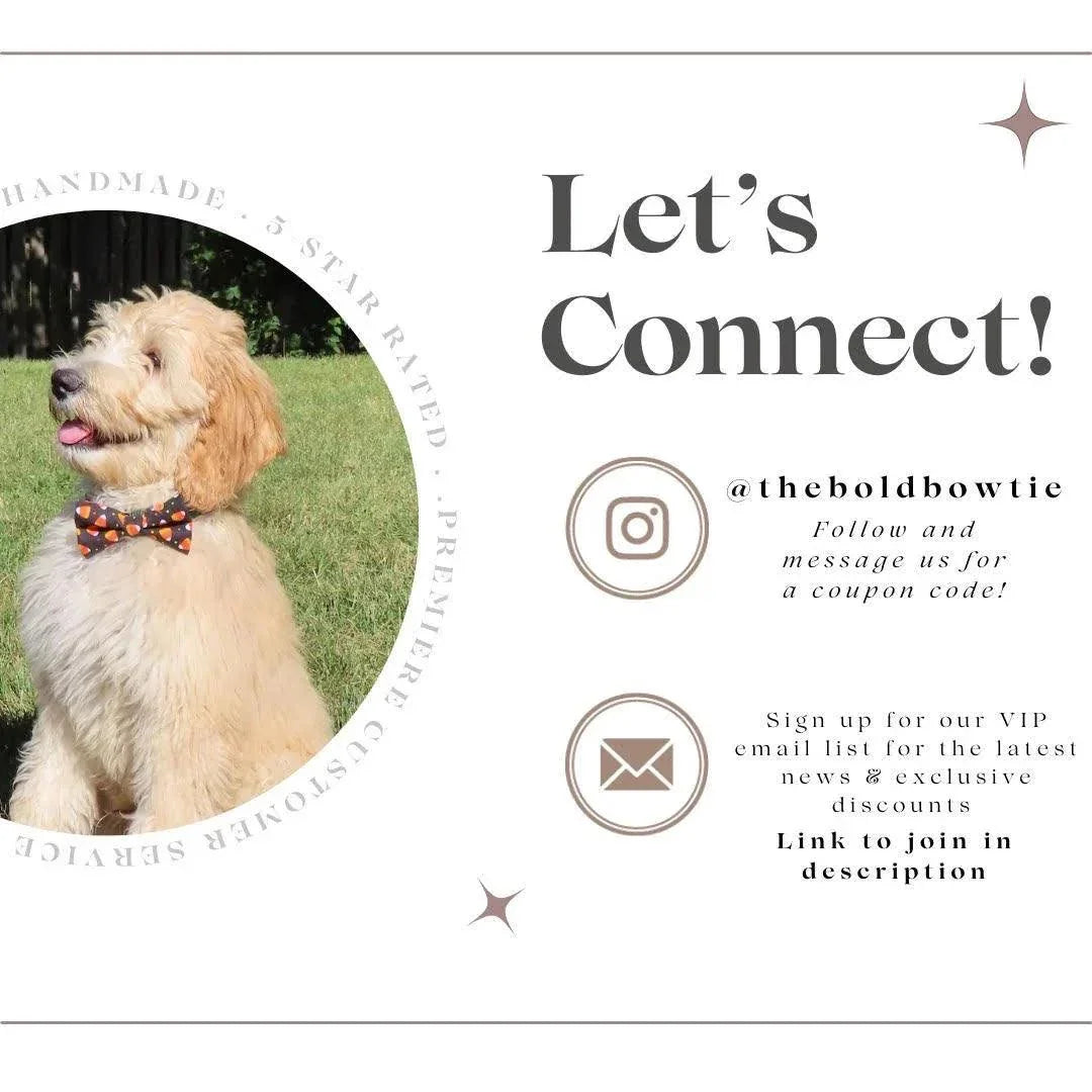 Dog bandana made from Rifle Paper Christmas fabric shown in a circular portrait layout