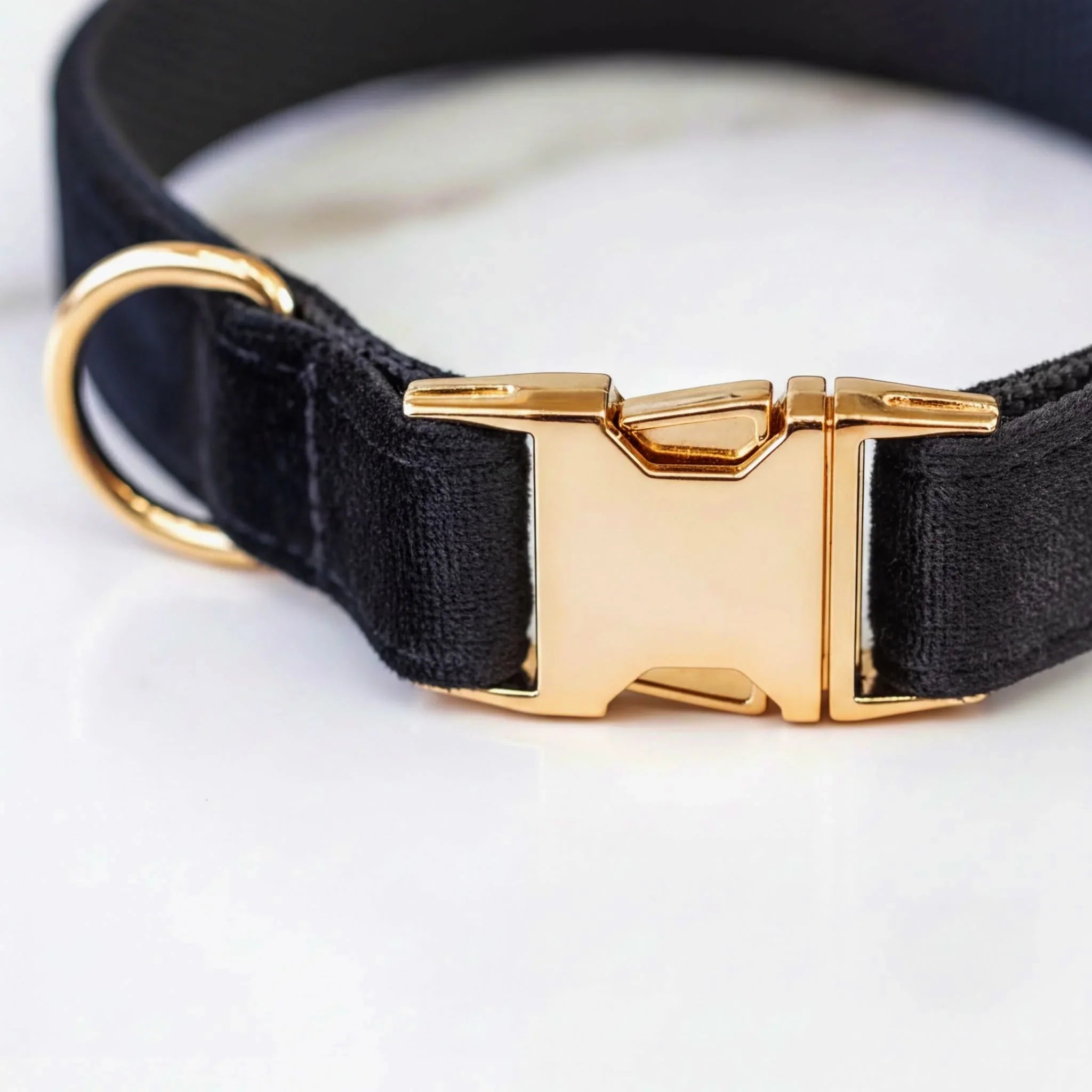 A close-up view of a black dog collar with a gold buckle.