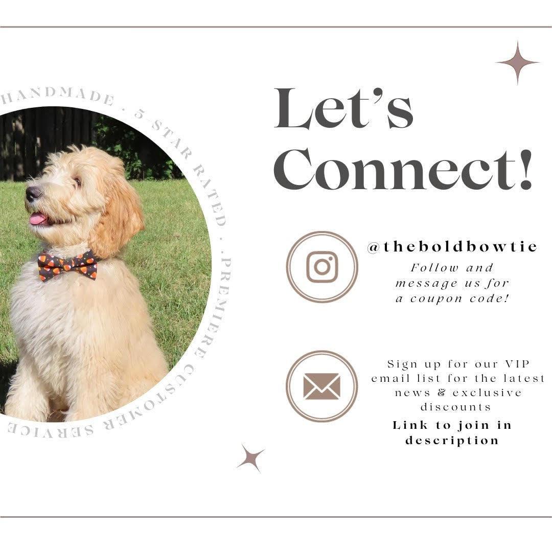 The bold bow tie contact info @theboldbowtie and help@theboldbowtie.com