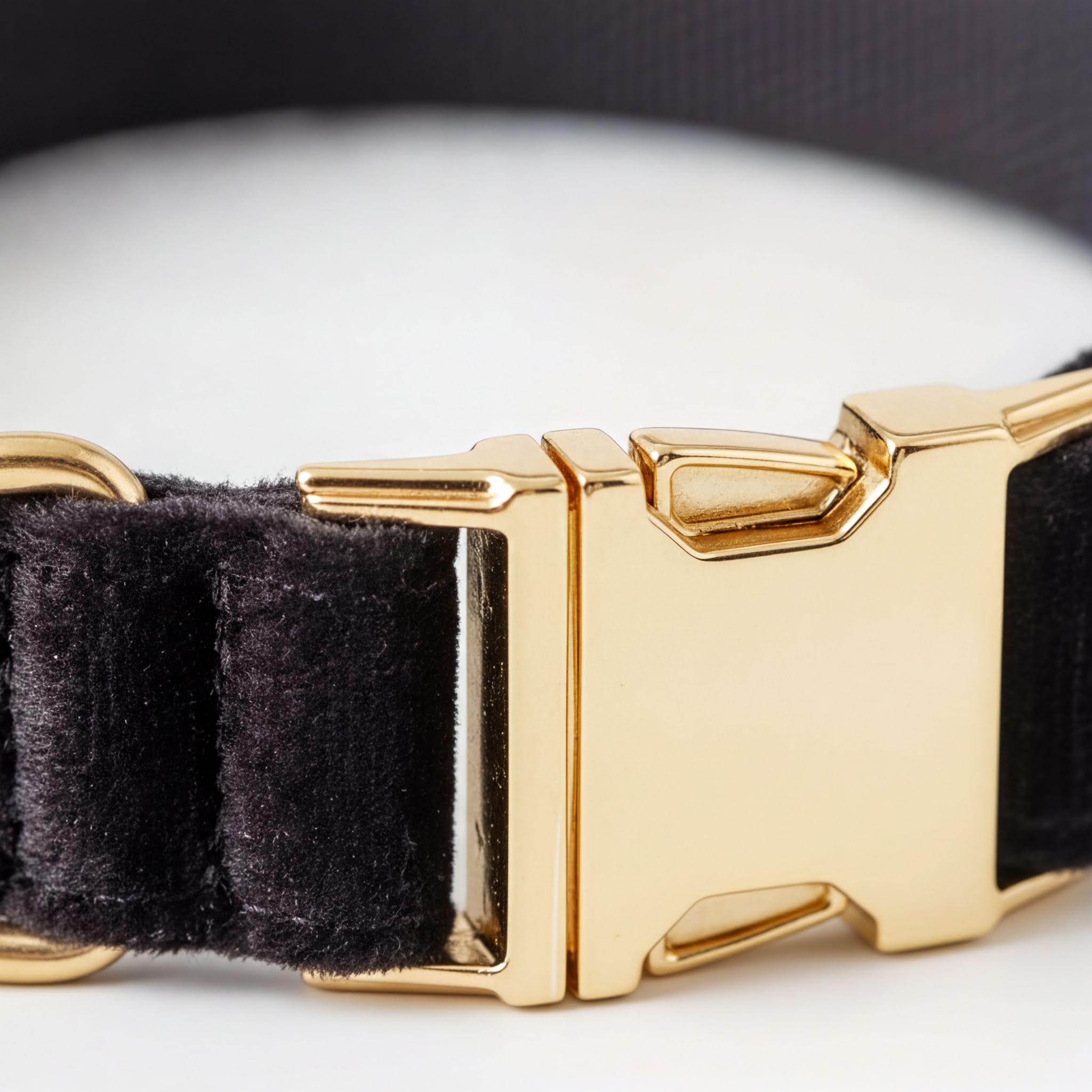 A close-up view of a black velvet dog collar with a gold buckle.