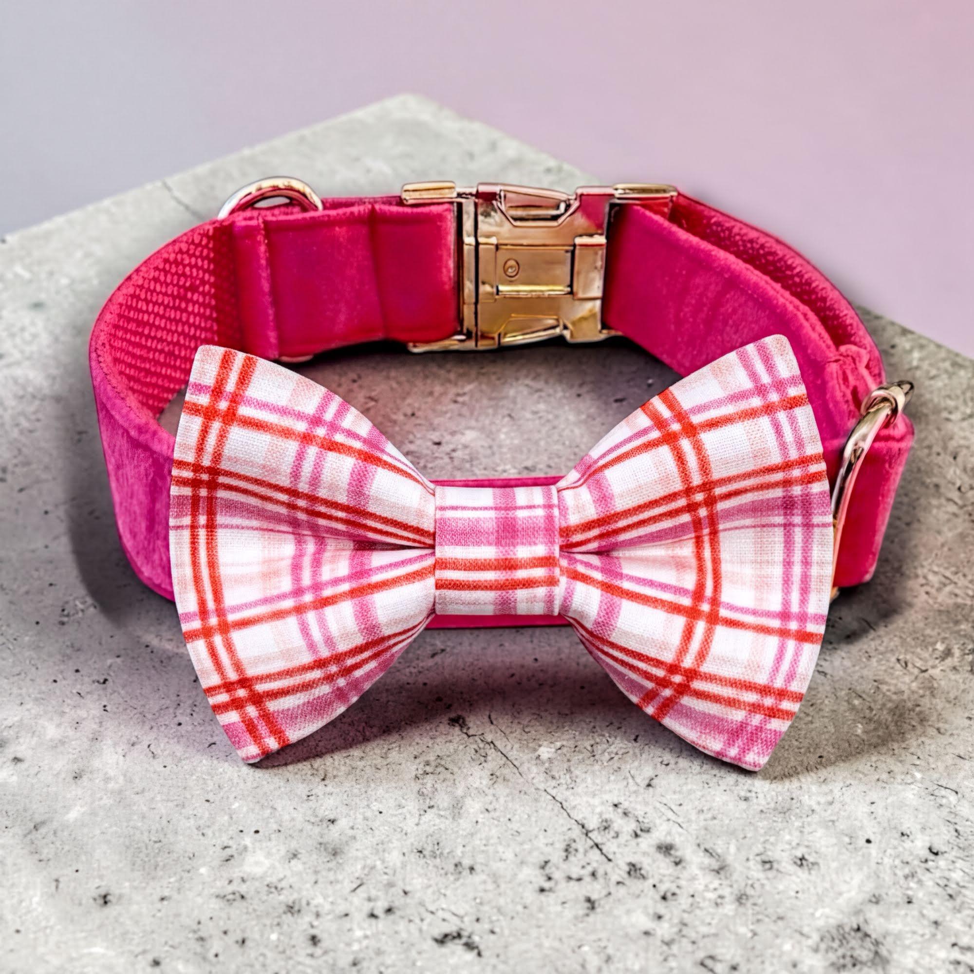 Pink plaid dog collar and bowtie with a gold buckle and a pink and white plaid bow tie on a gray surface.