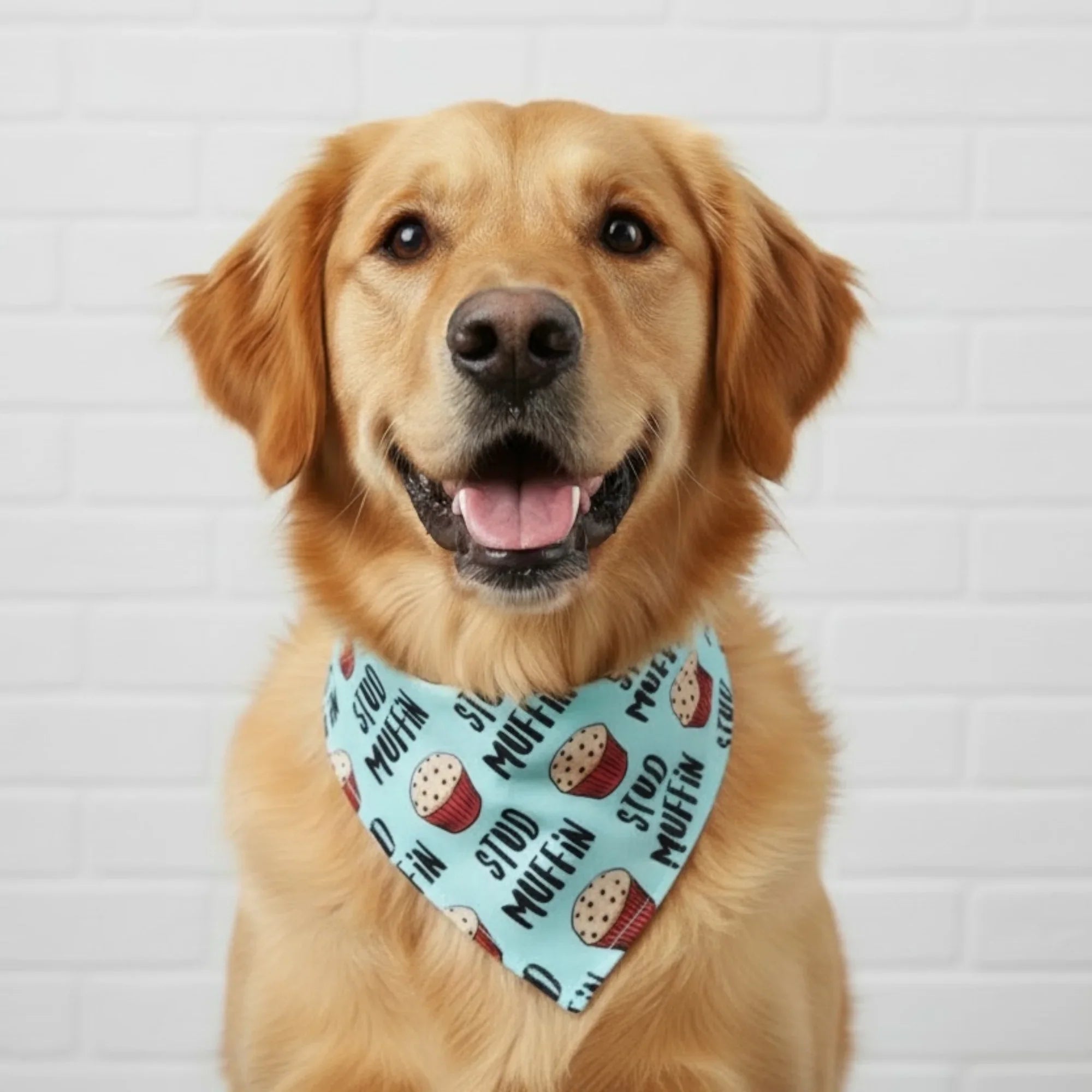 Size chart for dog bandanas from The Bold Bow Tie detailing measurements for Small, Medium, Large, and X-Large sizes. Small fits neck sizes 11 to 13 inches with a width of 7 inches and length of 5 inches. Medium fits neck sizes 13 to 16 inches with a width of 9 inches and length of 6 inches. Large fits neck sizes 16 to 21 inches with a width of 11 inches and length of 8 inches. X-Large fits neck sizes 21 to 25 inches with a width of 13 inches and length of 9 inches.