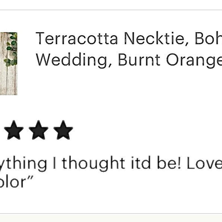 5 star review for terracotta tie for men.
