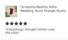 5 star review for terracotta tie for men.