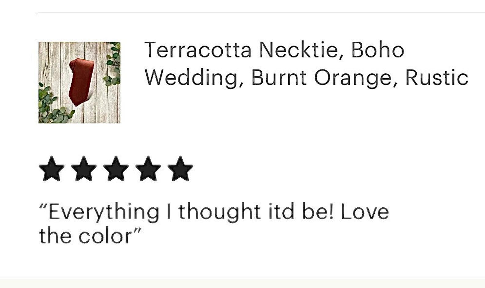 5 star review for terracotta tie for men.