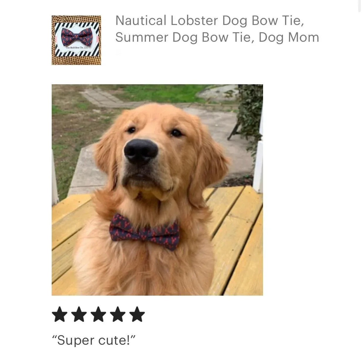 Golden retriever wearing a navy blue and red lobster dog bow tie with 5 star review that says "Super Cute" from a happy customer.
