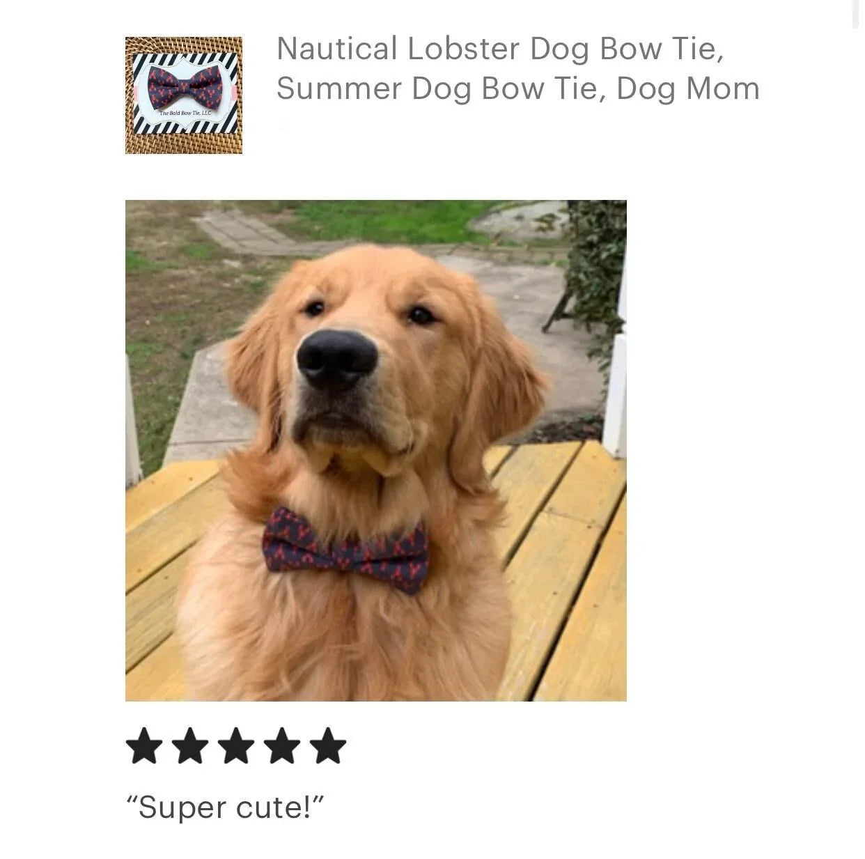 Golden retriever wearing a navy blue and red lobster dog bow tie with 5 star review that says "Super Cute" from a happy customer.