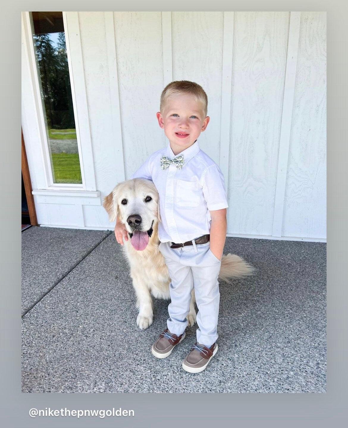Ring bearer in dinosaur bow tie worn