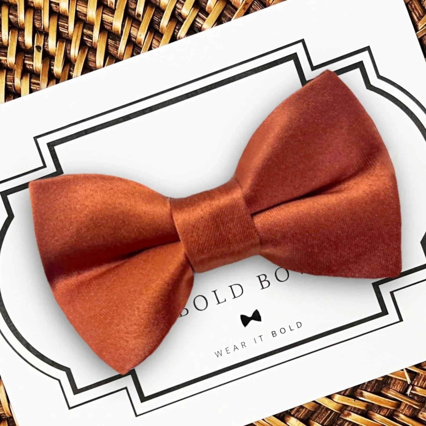 Terracotta dog bow tie or cat bow tie on burnt orange for weddings or pet gift.