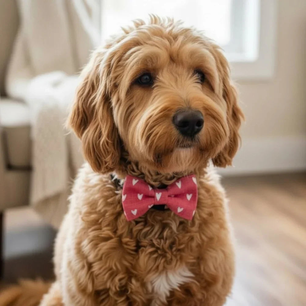 Handmade Valentine's Day red heart dog bow tie for collars, hand-sewn in the USA by a family-owned business.