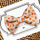 Dog Bow Tie or Cat Bow tie- Cider Autumn Leaves