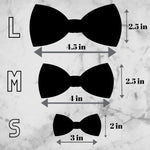 Load image into Gallery viewer, Winter Dog Bow Tie or Cat Bow Tie Gift Set
