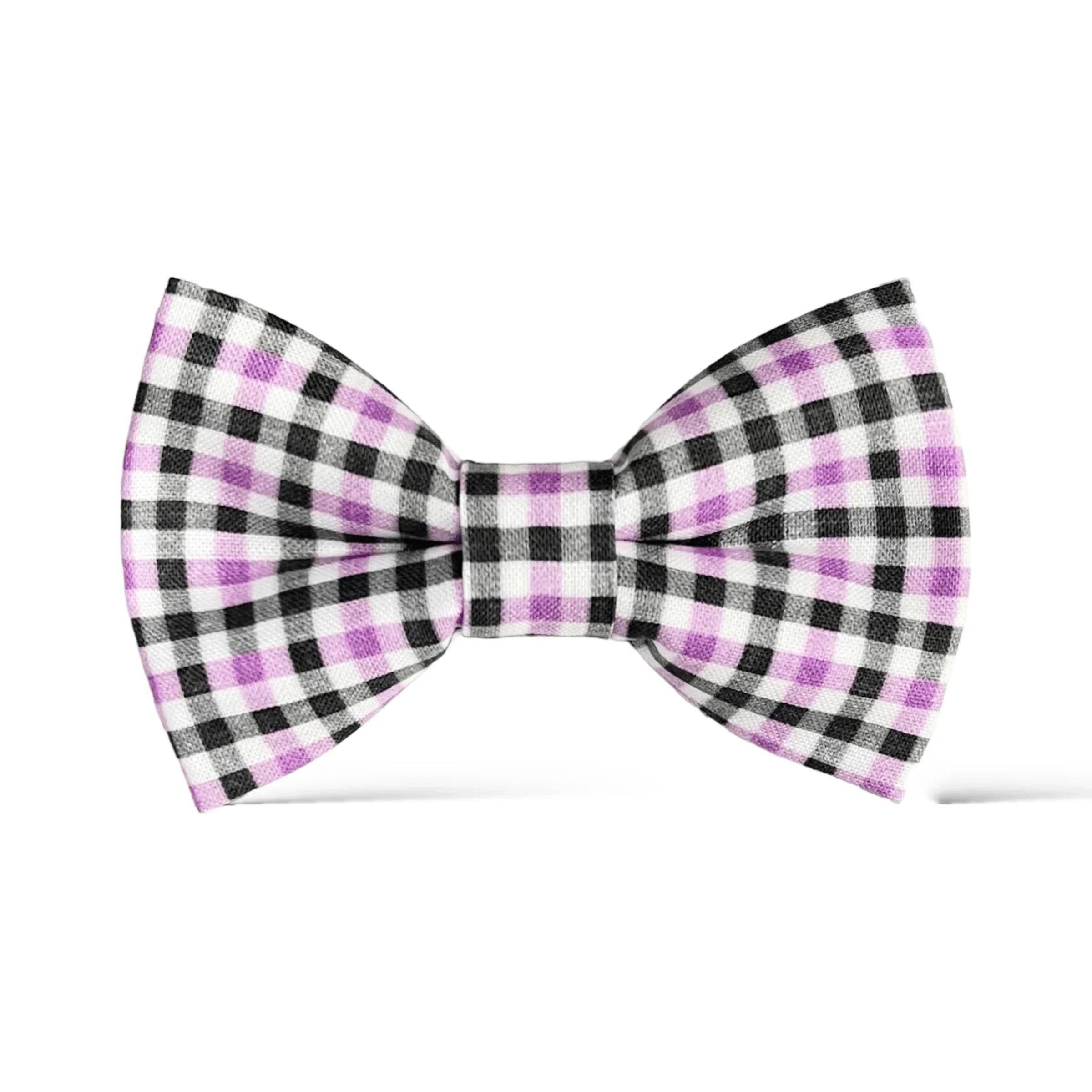 Let's Connect at The Bold Bow Tie: Instagram handle is @TheBoldBowTie. You can reach us via email at Help@theboldbowtie.com