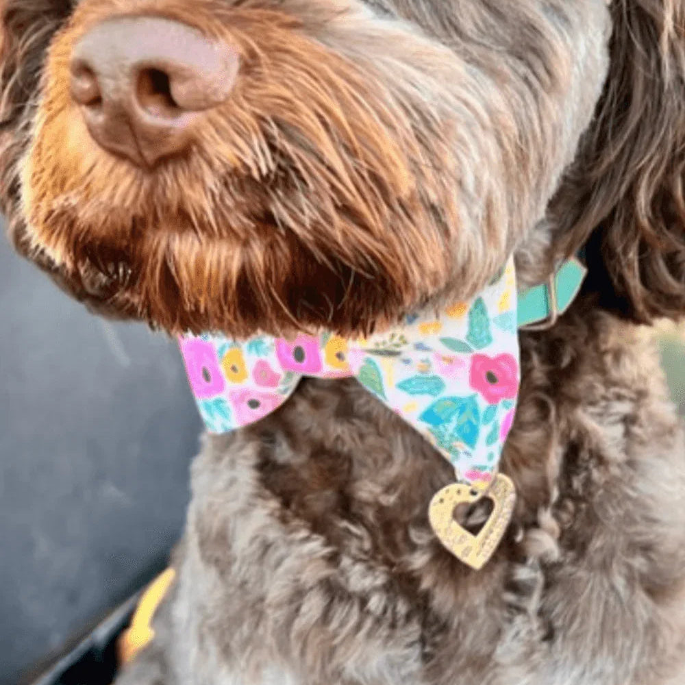 Close up of a brown dog wearing a floral bow tie with a heart charm