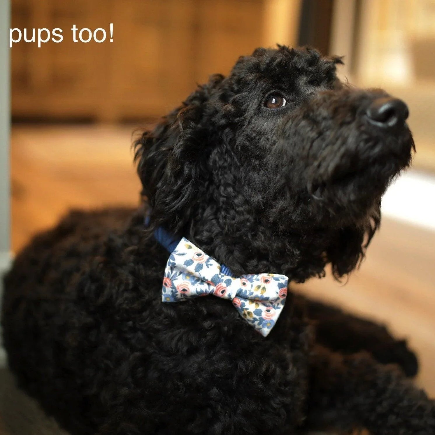 Size chart for suspender and bow tie sets from The Bold Bow Tie. Small (6mo-6yr): 18"-29" suspenders, 3.5" bow. Medium (7-12yr): 25.5"-40" suspenders, 4" bow. Adult (13yr-6ft tall): 25.5"-40" suspenders, 4.5" bow. Big & Tall (Over 6ft tall): 31"-53" suspenders, 4.5" bow. Instructions note to measure from the back waistband over the shoulder to the front waistband for a comfortable fit.