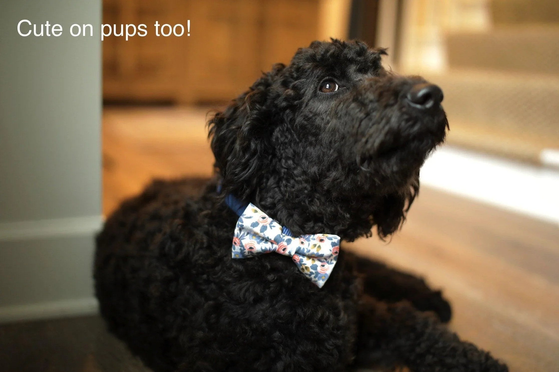 Size chart for suspender and bow tie sets from The Bold Bow Tie. Small (6mo-6yr): 18"-29" suspenders, 3.5" bow. Medium (7-12yr): 25.5"-40" suspenders, 4" bow. Adult (13yr-6ft tall): 25.5"-40" suspenders, 4.5" bow. Big & Tall (Over 6ft tall): 31"-53" suspenders, 4.5" bow. Instructions note to measure from the back waistband over the shoulder to the front waistband for a comfortable fit.