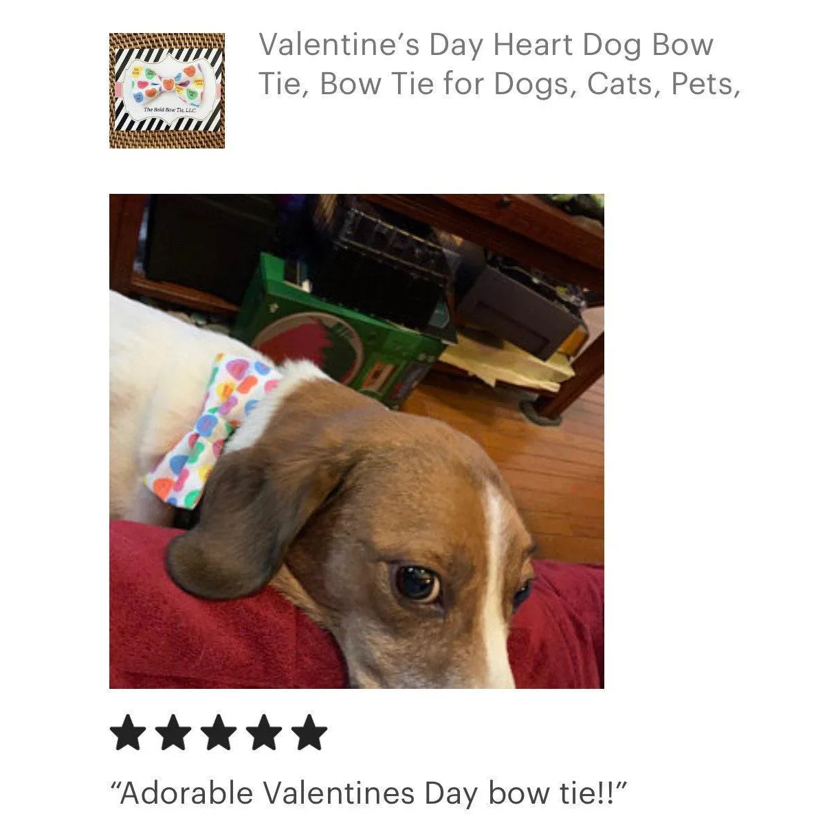Let's Connect at The Bold Bow Tie: Instagram handle is @TheBoldBowTie. You can reach us via email at Help@theboldbowtie.com