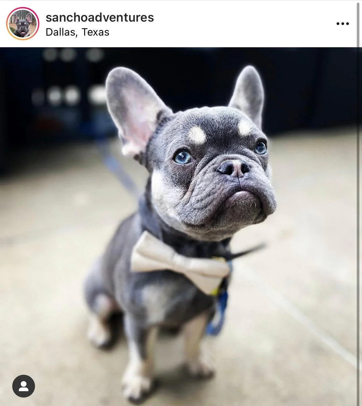 Let's Connect at The Bold Bow Tie: Instagram handle is @TheBoldBowTie. You can reach us via email at Help@theboldbowtie.com