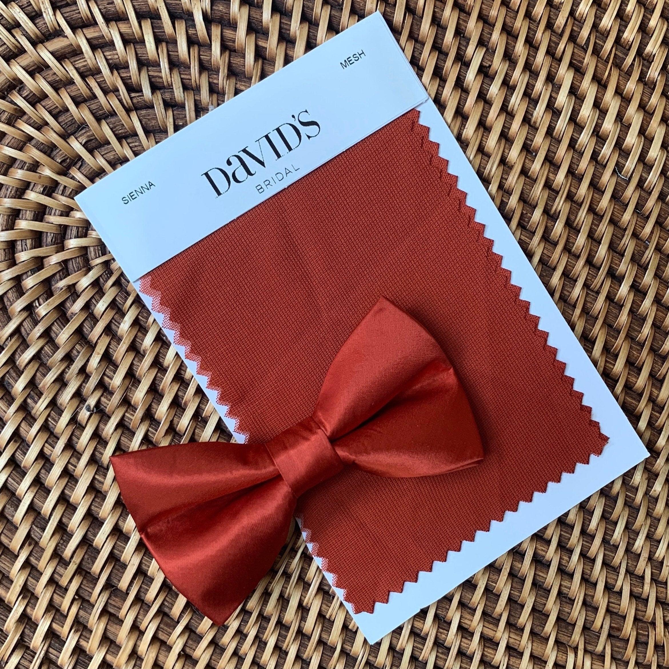Sienna bow tie on a burnt orange color swatch.