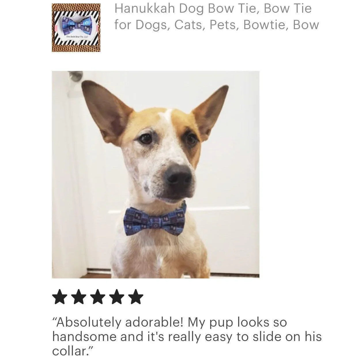 Let's Connect at The Bold Bow Tie: Instagram handle is @TheBoldBowTie. You can reach us via email at Help@theboldbowtie.com