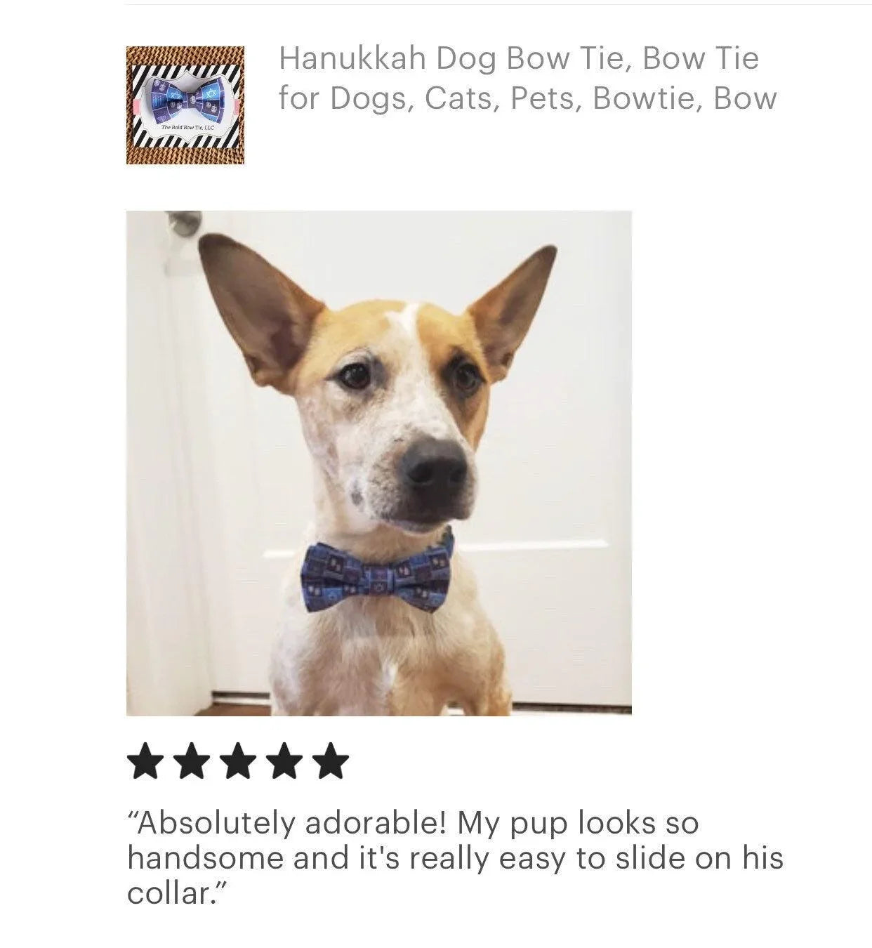 Let's Connect at The Bold Bow Tie: Instagram handle is @TheBoldBowTie. You can reach us via email at Help@theboldbowtie.com