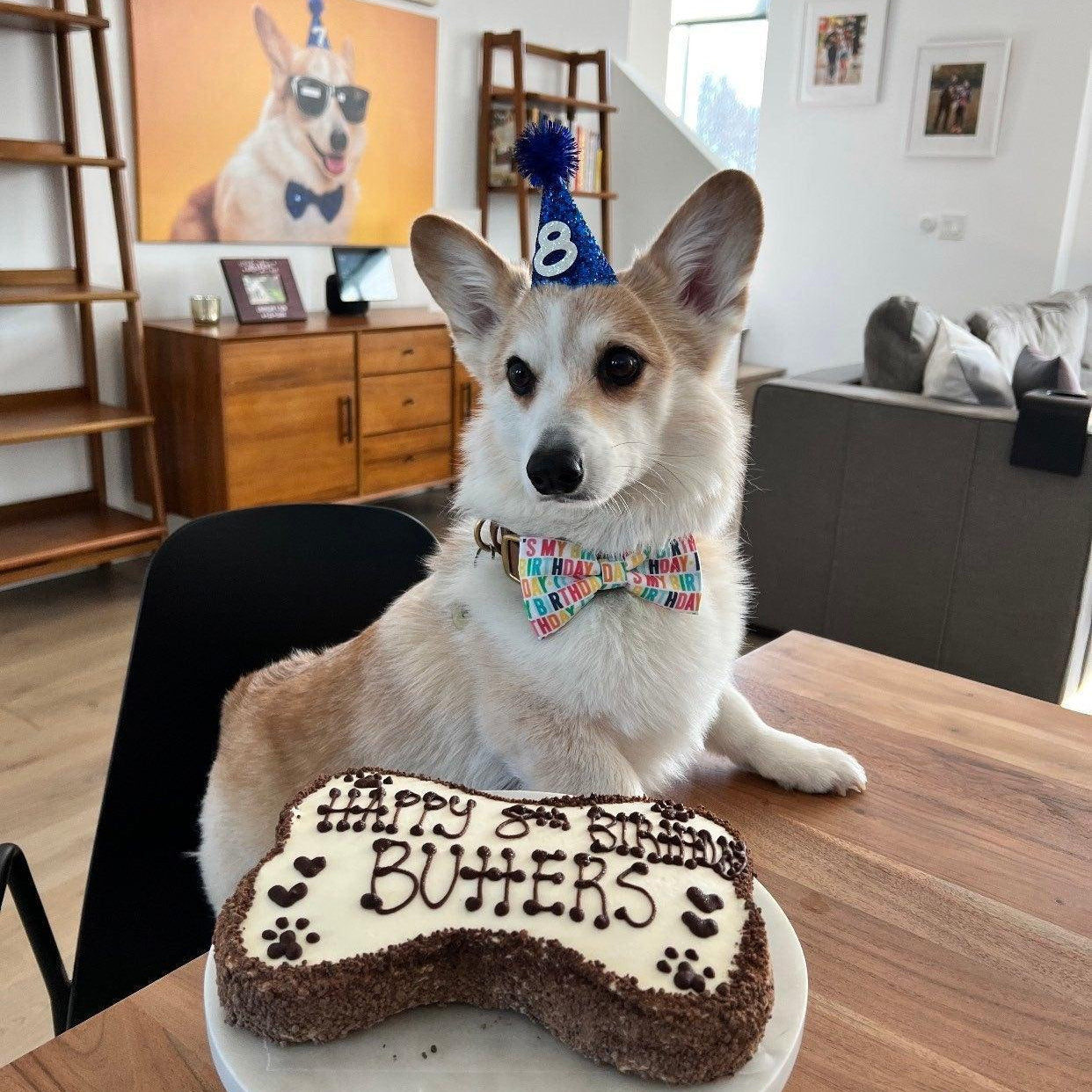 Let's Connect at The Bold Bow Tie: Instagram handle is @TheBoldBowTie. You can reach us via email at Help@theboldbowtie.com