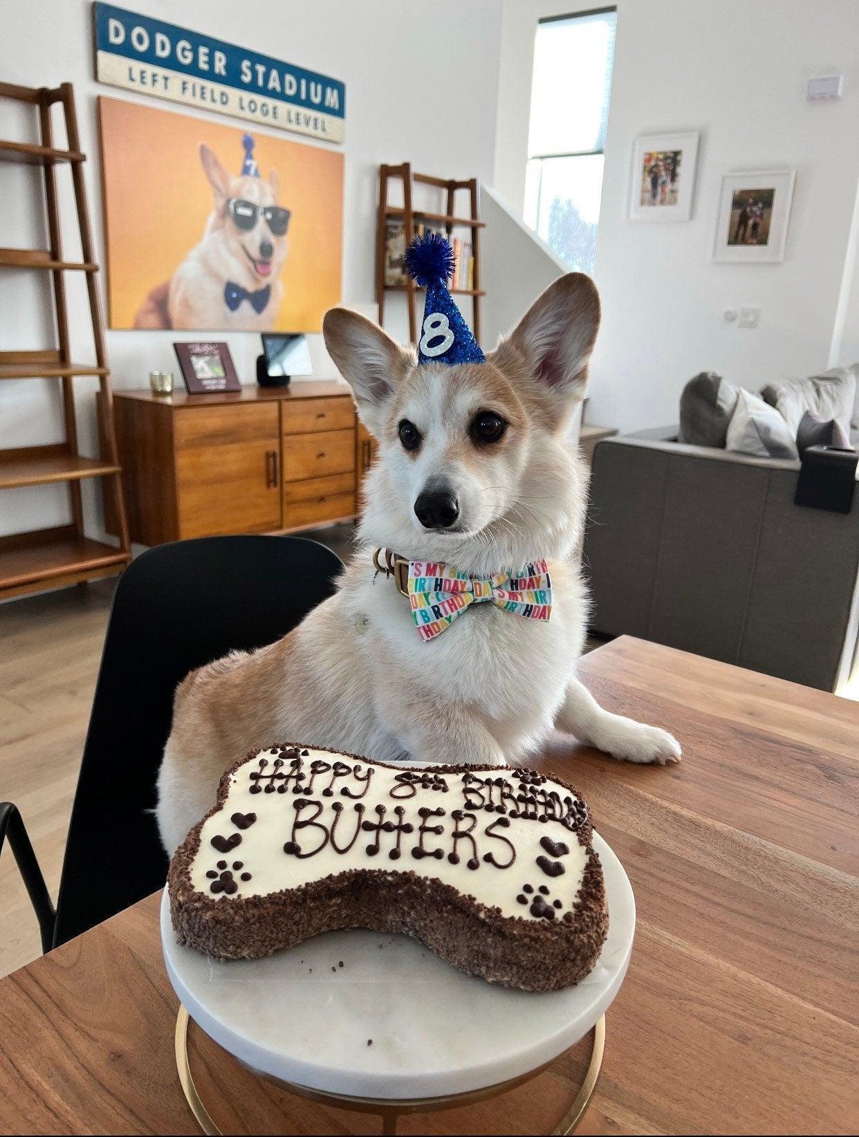 Let's Connect at The Bold Bow Tie: Instagram handle is @TheBoldBowTie. You can reach us via email at Help@theboldbowtie.com