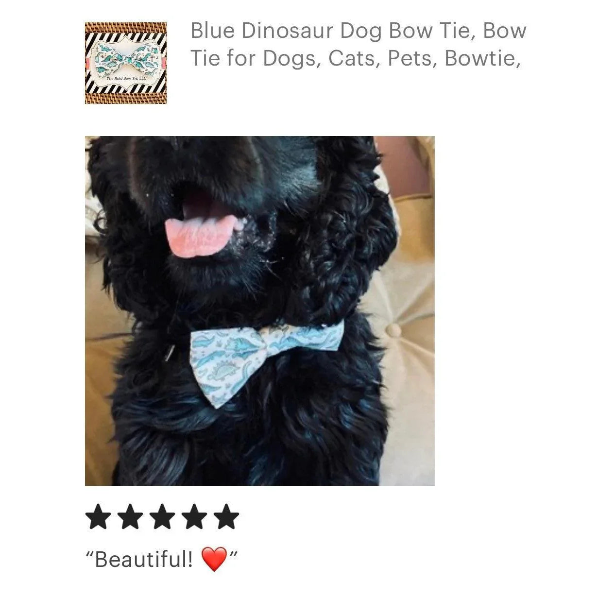 5 Star review for The Bold Bow Tie