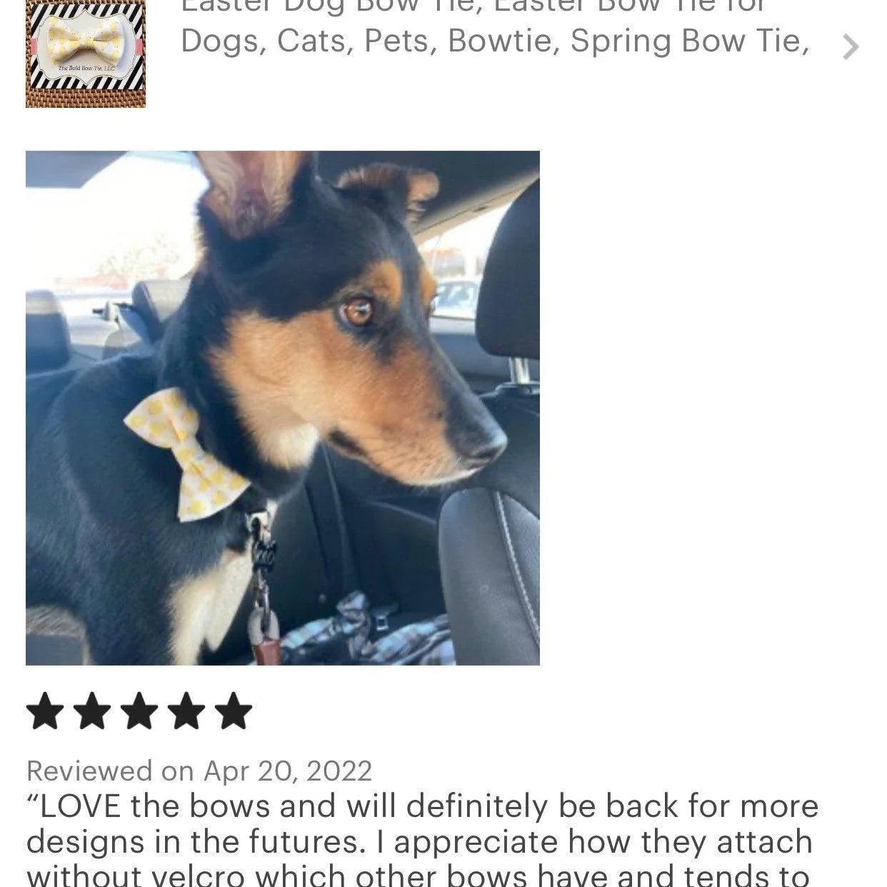 Let's Connect at The Bold Bow Tie: Instagram handle is @TheBoldBowTie. You can reach us via email at Help@theboldbowtie.com