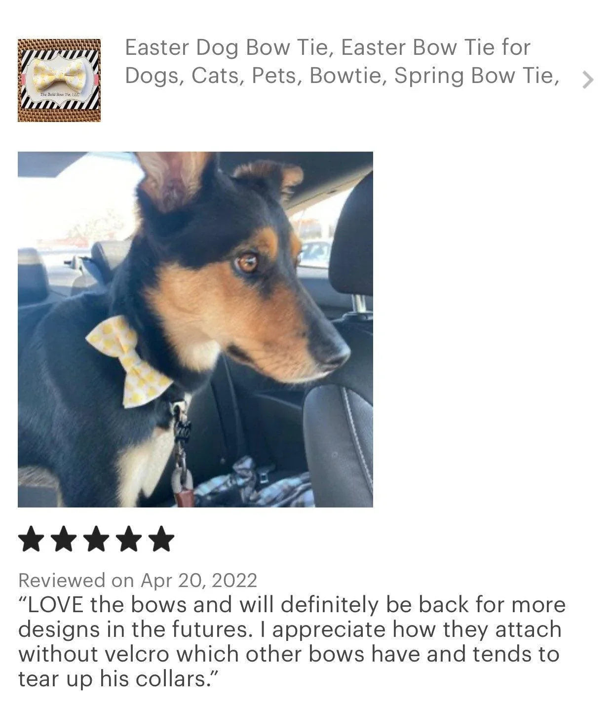 Let's Connect at The Bold Bow Tie: Instagram handle is @TheBoldBowTie. You can reach us via email at Help@theboldbowtie.com