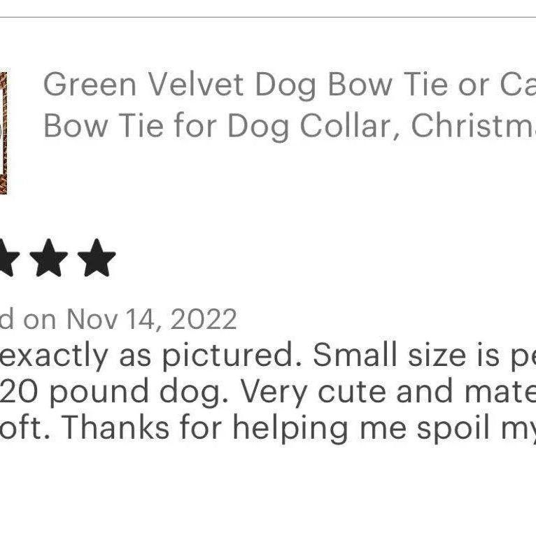 Let's Connect at The Bold Bow Tie: Instagram handle is @TheBoldBowTie. You can reach us via email at Help@theboldbowtie.com