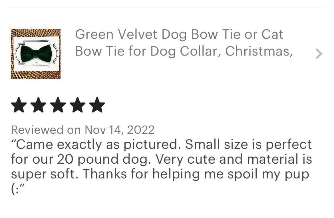 Let's Connect at The Bold Bow Tie: Instagram handle is @TheBoldBowTie. You can reach us via email at Help@theboldbowtie.com