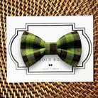 Plaid Dog Bow Tie or Cat Bow Tie- Green & Black