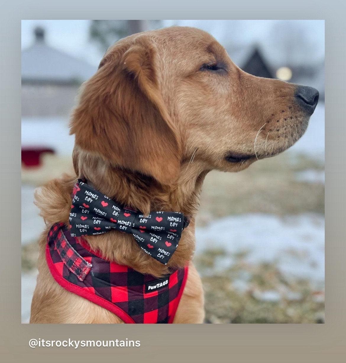 Dog bow tie size chart. Size Small is 3 1/2 inches wide for small dogs under 15 lbs. Size Medium is 4 inches wide for medium dogs between 15 band 40 lbs. Size Large is 4 1/2 inches wide for Large Dogs between 40 band 80 lbs. Size Extra Large is 5 1/2 inches wide for Extra Large Dogs over 80 lbs. Sizing is up to preference and pet bow ties slide on to dog collars with elastic.