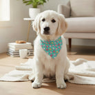 White dog wearing a Valentine’s Day dog bandana sitting on a wooden floor in a living room.