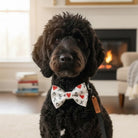 Black dog wearing a Valentine’s Day dog bow tie sitting in a cozy living room with a fireplace.