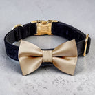 Champagne dog wedding collar made of black velvet with a durable detachable pet bow tie on a gray surface.