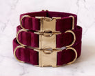 Burgundy dog collars with gold hardware on a marble background