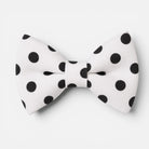 Polka dot bow tie for men in black and white.
