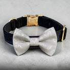 Black velvet Dog collar with silver dog bowtie, gold buckle on a gray background.