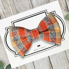 Fall Flannel Dog Bow Tie for Dog and Cat Collar for Thanksgiving and Autumn