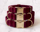 Burgundy dog collars with gold hardware on a marble background