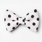 Polka dot bow tie for men in black and white.