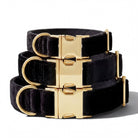 A set of three black velvet dog collars with gold buckles, arranged in a stack.